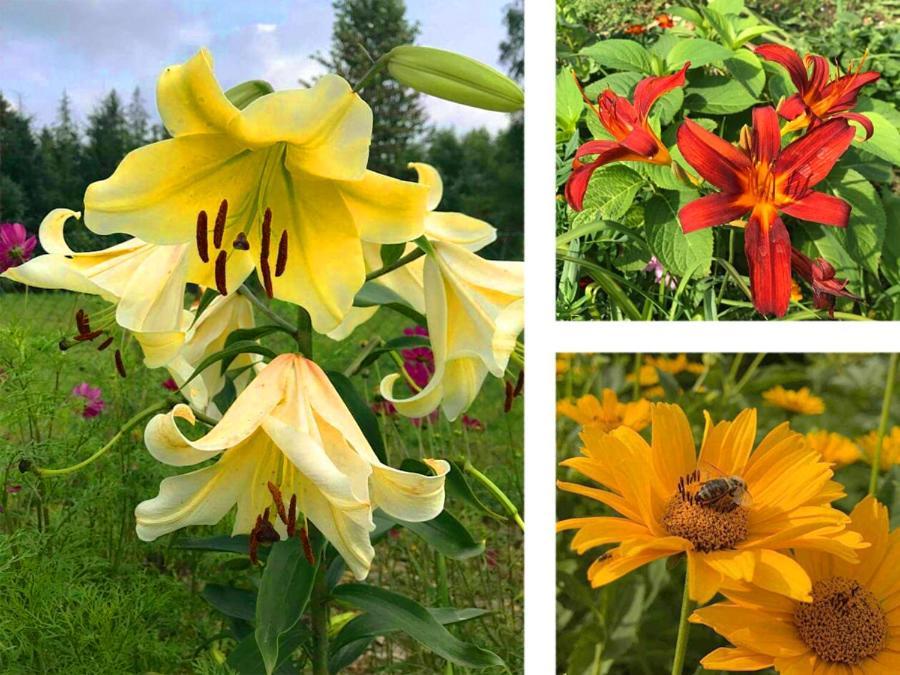 Agroturystyka U Wiesi Ustrzyki Dolne Exterior foto