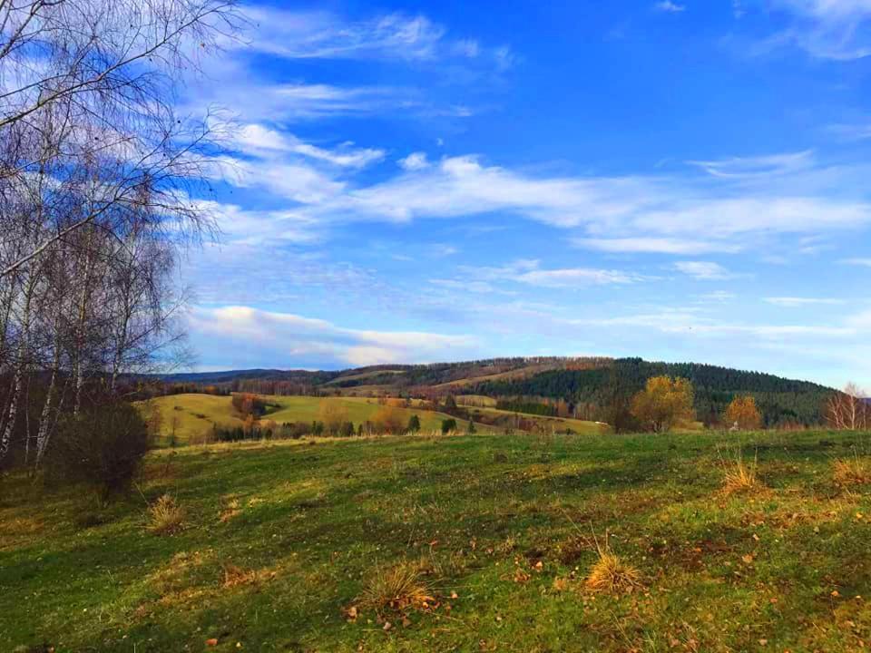 Agroturystyka U Wiesi Ustrzyki Dolne Exterior foto